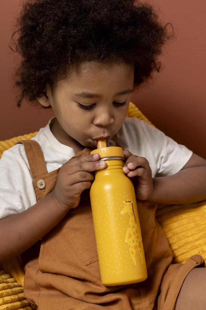 Bottle 500ml - Mr. Giraffe